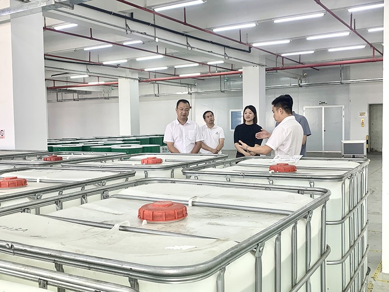 政企连心·共促发展|东莞市东城区政府领导莅临NG28娱乐新材参观指导